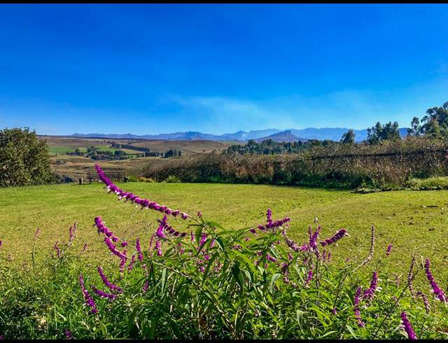 4 BEDROOM HOUSE FOR SALE IN UNDERBERG